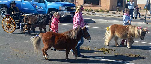 Parada del Sol, February 8, 2014